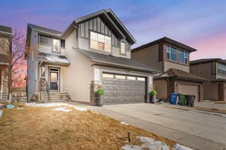 Photo 1: 217 Walden Square SE in Calgary: Walden Detached for sale : MLS®# A1208615