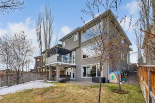 Photo 37: 66 Cranridge Terrace SE in Calgary: Cranston Detached for sale : MLS®# A2129237