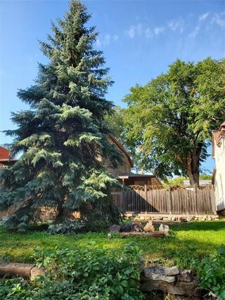 Photo 29: 133 Kitson Street in Winnipeg: Norwood Residential for sale (2B)  : MLS®# 202125010