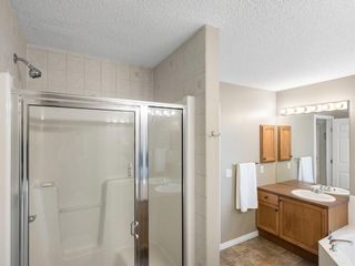 Photo 26: 191 Copperfield Close SE in Calgary: Copperfield Detached for sale : MLS®# A1232965