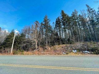 Photo 7: Grand Mira South Road in Juniper Mountain: 210-Marion Bridge Vacant Land for sale (Cape Breton)  : MLS®# 202310060