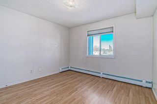 Photo 17: 1216 6224 17 Avenue SE in Calgary: Red Carpet Apartment for sale : MLS®# A2011855