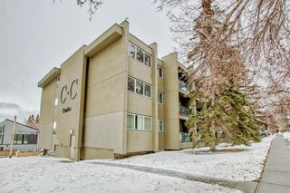 Photo 1: 302 1808 18 Street SW in Calgary: Bankview Apartment for sale : MLS®# A2015962