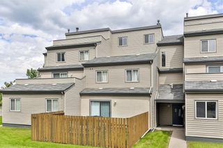 Photo 2: 1004 1540 29 Street NW in Calgary: St Andrews Heights Apartment for sale : MLS®# C4301323