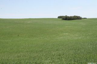 Photo 4: Clinton Weekes Land in Biggar: Farm for sale (Biggar Rm No. 347)  : MLS®# SK894555