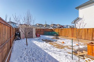 Photo 28: 248 Covebrook Close NE in Calgary: Coventry Hills Detached for sale : MLS®# A1191676