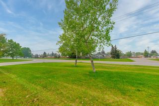Photo 14: 132 Spring Dale Circle SE: Airdrie Detached for sale : MLS®# A2049144