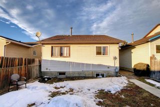 Photo 35: 3727 44 Avenue NE in Calgary: Whitehorn Detached for sale : MLS®# A1172903