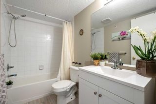 Photo 28: 2316 2600 66 Street NE in Calgary: Pineridge Apartment for sale : MLS®# A2122941