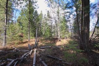 Photo 21: Lot B Zinck Road in Scotch Creek: Land Only for sale : MLS®# 10249220