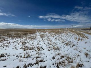 Photo 24: Panorama Road in Rural Rocky View County: Rural Rocky View MD Commercial Land for sale : MLS®# A2117580