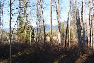 Photo 12: LOT A KLOECKNER Road in Smithers: Smithers - Rural Land for sale (Smithers And Area (Zone 54))  : MLS®# R2598861