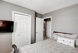 Photo 16: 59 Skyview Point Terrace NE in Calgary: Skyview Ranch Detached for sale : MLS®# A2023748