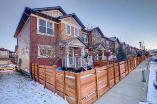 Photo 27: 117 Chaparral Valley Drive SE in Calgary: Chaparral Row/Townhouse for sale : MLS®# A1166897