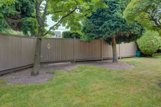 Photo 24: 20 7740 ABERCROMBIE Drive in Richmond: Brighouse South Townhouse for sale in "THE MEADOWS" : MLS®# R2712002