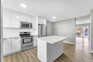 Photo 12: 16 Castlepark Way NE in Calgary: Castleridge Semi Detached (Half Duplex) for sale : MLS®# A2114958