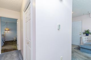 Photo 16: 2465 LYNDEN Street in Abbotsford: Abbotsford West House for sale : MLS®# R2707556