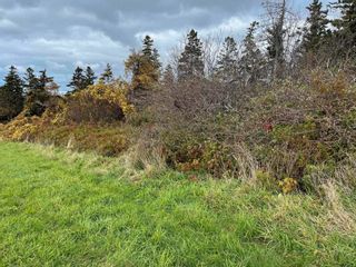 Photo 11: Lot Highway 101 in Plympton: Digby County Vacant Land for sale (Annapolis Valley)  : MLS®# 202322705