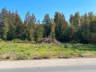 Photo 4: 9046 CEDAR Street: Land Commercial for sale in Mission: MLS®# C8047574