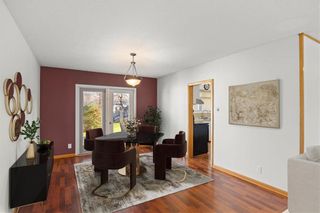 Photo 11: 145 DORCHESTER Avenue in Selkirk: R14 Residential for sale : MLS®# 202329316