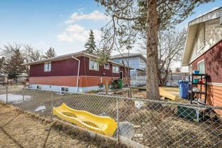 Photo 4: 901 38 Street SE in Calgary: Forest Lawn Detached for sale : MLS®# A2123146