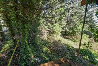 Photo 89: 4069 HAAS Rd in Courtenay: CV Courtenay South House for sale (Comox Valley)  : MLS®# 900079