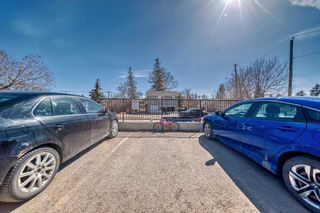 Photo 36: 307 144 Crescent Road W: Okotoks Apartment for sale : MLS®# A2121187