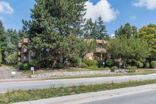 Photo 17: 412 7151 EDMONDS Street in Burnaby: Highgate Condo for sale in "The Bakerview" (Burnaby South)  : MLS®# R2491686