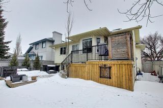 Photo 48: 25 Douglas Woods Grove SE in Calgary: Douglasdale/Glen Detached for sale : MLS®# A1244750