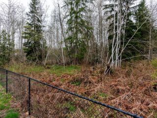 Photo 18: 24115 FERN Crescent in Maple Ridge: Silver Valley Land for sale : MLS®# R2872512