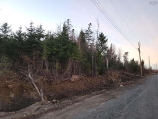Photo 2: Lot T35 Elliott Road in South Rawdon: 105-East Hants/Colchester West Vacant Land for sale (Halifax-Dartmouth)  : MLS®# 202407811