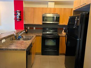 Photo 4: 110 2420 34 Avenue SW in Calgary: South Calgary Apartment for sale : MLS®# A2113307