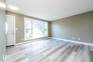 Photo 11: 6908 15 Avenue SE in Calgary: Applewood Park Detached for sale : MLS®# A2131260