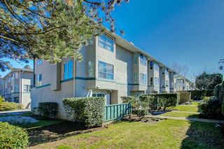 Photo 14: 23 3476 COAST MERIDIAN Road in Port Coquitlam: Lincoln Park PQ Townhouse for sale in "Laurier Mews" : MLS®# R2345938