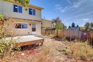 Photo 46: 138 Castlebrook Rise NE in Calgary: Castleridge Semi Detached (Half Duplex) for sale : MLS®# A2006589