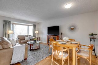 Photo 3: 20 Bedwood Crescent NE in Calgary: Beddington Heights Detached for sale : MLS®# A2099844