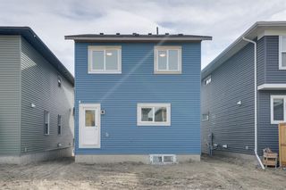 Photo 49: 54 Midtown Crossing SW: Airdrie Detached for sale : MLS®# A2043456