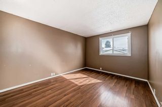 Photo 5: 176 Dovely Crescent SE in Calgary: Dover Detached for sale : MLS®# A2118047