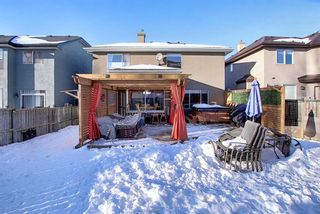 Photo 34: 178 Cranwell Close SE in Calgary: Cranston Detached for sale : MLS®# A1058035
