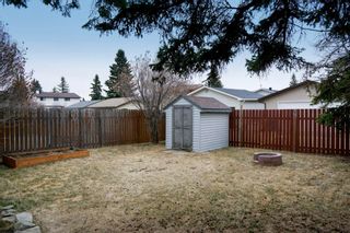 Photo 30: 31 Summerwood Road SE: Airdrie Detached for sale : MLS®# A1197001