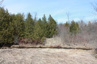 Photo 7: 2nd Line in Roseneath: Land Only for sale : MLS®# 188329