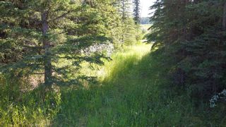 Photo 7: 5-31539 Rge Rd 53c: Rural Mountain View County Land for sale : MLS®# A1024431