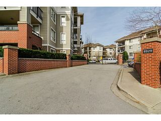 Photo 7: A411 8929 202 Street in Langley: Walnut Grove Condo for sale : MLS®# R2097780