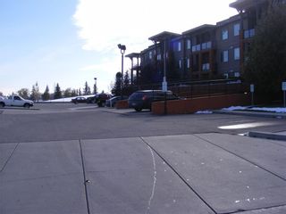 Photo 32: 206 2727 28 Avenue SE in Calgary: Dover Apartment for sale : MLS®# A1014596