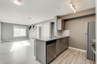 Photo 16: 1203 4641 128 Avenue NE in Calgary: Skyview Ranch Apartment for sale : MLS®# A2025846