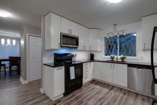 Photo 14: 164 Berwick Drive NW in Calgary: Beddington Heights Detached for sale : MLS®# A1095505