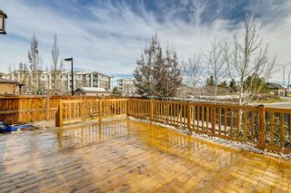Photo 41: 203 Cranarch Terrace SE in Calgary: Cranston Detached for sale : MLS®# A2091027