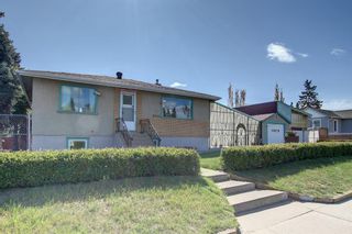Photo 46: 2002 44 Street SE in Calgary: Forest Lawn Detached for sale : MLS®# A1222886