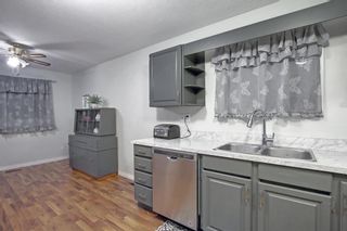 Photo 10: 33 Erickson Drive: Red Deer Detached for sale : MLS®# A2012908