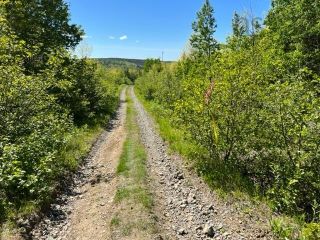 Photo 4: 15 acres Brookville Branch in Brookville: 108-Rural Pictou County Vacant Land for sale (Northern Region)  : MLS®# 202213274